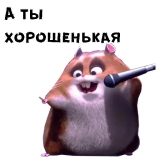 😄 9723768a А ты хорошенькая hamster, schattig, grappig, microfoon, dier, cartoon telegram sticker