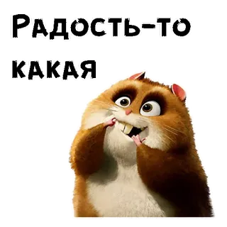 😄 c166c06d Радость-то какая hamster, schattig, dier, knaagdier, grappig, vrolijk telegram sticker