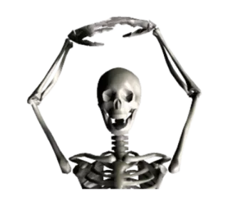 @tikelmu Honest skeleton! whatsapp stickers
