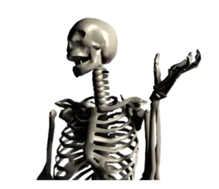 💁 9393dbe5 해골, 할로윈, 뼈, 해부학, 죽음, 으스스 telegram sticker