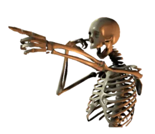 👆 c3c677f9 해골, 가리키는, 뼈, 할로윈, 해부학 telegram sticker