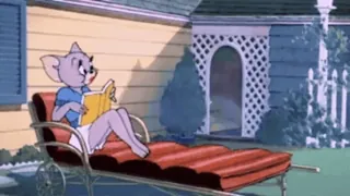 😛 90be8881 cat, reading, cartoon, relaxing, book whatsapp sticker