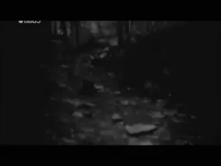 😱 e3026544 telegram sticker