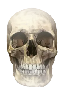 Horror @stickersb2b whatsapp stickers