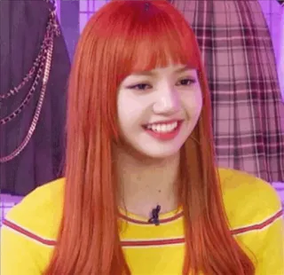 🍊 365b030d Lisa Lisa, K-pop, Idola, Penyanyi, Penari, Senyum telegram sticker