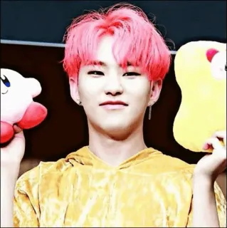 ♥️ f8edd203 pessoa, homem, cabelo ruivo, rosa, Kirby, pelúcia, Hoshi telegram sticker