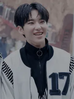 🎌 c72290f3 17 мальчик, подросток, молодежь, kpop, seventeen, айдол telegram sticker