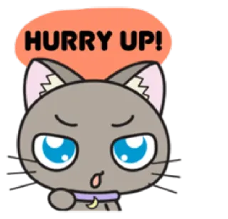 😠 47386069 HURRY UP! แมว, รีบ, ด่วน, การ์ตูน, สัตว์, รอ telegram sticker
