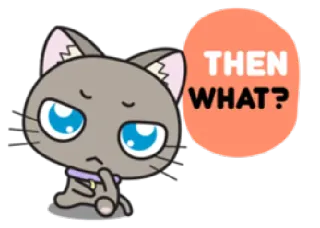 🤔 b03dad8b THEN WHAT? แมว, คิด, คำถาม, สับสน, อยากรู้อยากเห็น telegram sticker