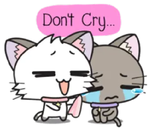 🤔 dbf389aa Don't Cry... แมว, ร้องไห้, ปลอบโยน, มิตรภาพ, น่ารัก, การ์ตูน telegram sticker