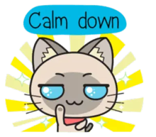 😏 f235a4a2 Calm down แมว, สงบ, ลูกแมว, น่ารัก, สัตว์, มีม, ตลก, อารมณ์ telegram sticker