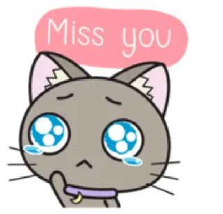 😢 fafb70e4 Miss you แมว, เศร้า, คิดถึง, น้ำตา, น่ารัก, สัตว์, การ์ตูน telegram sticker
