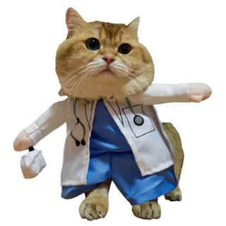 🚑 bc505156 кот, врач, животное, питомец, костюм, стетоскоп, медицинский, ветеринар telegram sticker