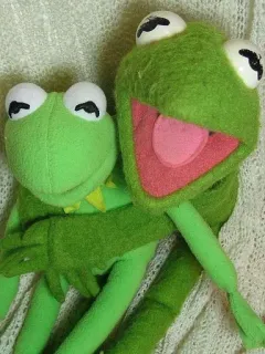 ❤️ 2253a0c4 Kermit the Frog Kermit, sapo, fantoche, Muppets, bicho de pelúcia, brinquedo telegram sticker