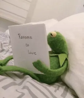 🤔 6fdb271b Kermit Reasons to live Kermit o Sapo, Razões para viver, Meme, Inspiração, Esperança telegram sticker