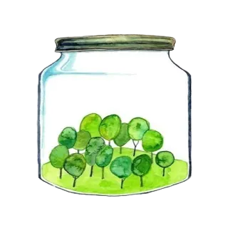 🔮 c864b0f9 банка, лес, деревья, природа, зеленый, акварель, рисунок, иллюстрация telegram sticker