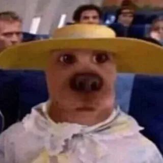 Hot Dog telegram stickers