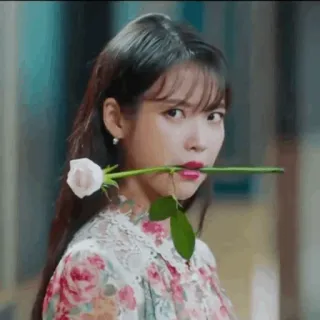 🌙 e403d86e woman, rose, flower, beauty, portrait telegram sticker