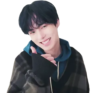 👍 289185ee 点赞, 人物, 微笑, 肖像, 积极, 手势 telegram sticker