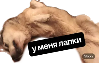 😅 54e4b32f у меня лапки anjing, lucu, rusia, cakar telegram sticker