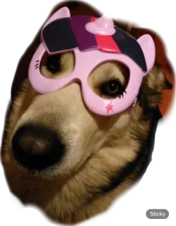 Hotkey zoo telegram stickers