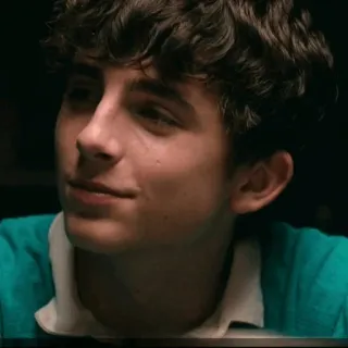 💰 826f7117 Timothée Chalamet aktor, selebriti, potret, pria telegram sticker