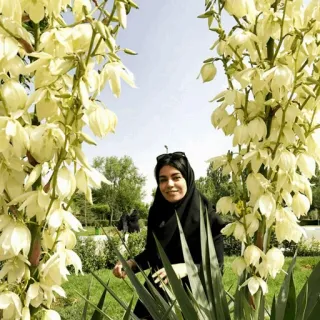 💋 b1904a8e женщина, хиджаб, цветы, природа, парк, портрет telegram sticker