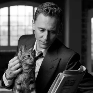 🌐 167423ce hombre, gato, traje, leyendo, periódico, blanco y negro, interior telegram sticker