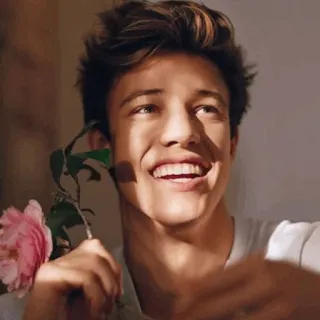 🌐 fb9a61a6 persona, hombre, sonrisa, flor, retrato telegram sticker