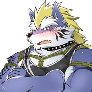 😳 dcc8c9c9 兽人, 狼, 肌肉, 拟人, 角色, 动物 telegram sticker