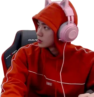 👀 14d6018c 사람, 남자, 후드티, 헤드폰, 게이머, 분홍색 telegram sticker