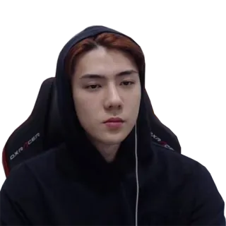 😐 3e7274af 사람, 남자, 후드티, 게이머 telegram sticker