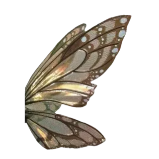 🤩 3cc84cb5 Feenflügel, Flügel, Insekten, Natur, Fantasy, Braun, Funkeln, Dekoration telegram sticker