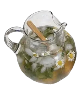 🤩 5fa54ee7 Krug, Getränk, Eis, Blumen, Erfrischung, Trinken, Kalt, Wasser telegram sticker