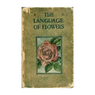 🤩 908f2d5a THE LANGUAGE OF FLOWERS Blumen, Buch, Vintage, Rose, Sprache, Blumenmuster, Antik telegram sticker