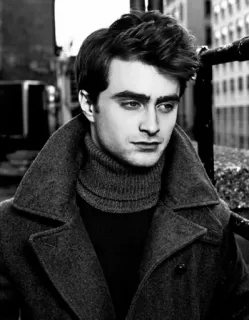 🐚 be57e3db Daniel Radcliffe ator, retrato, celebridade, homem, preto e branco, casaco whatsapp sticker