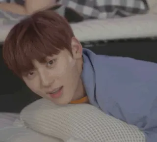 🎐 61592303 telegram sticker