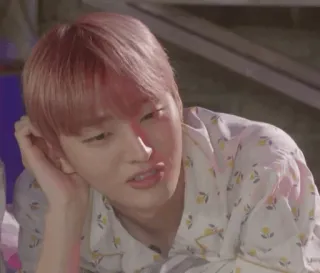 🎠 a07dd49b telegram sticker