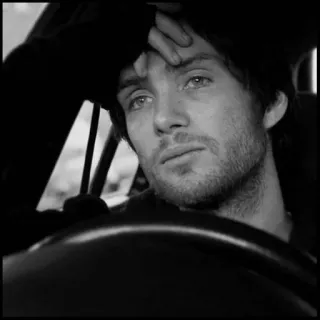 ◾ 983ff0bf telegram sticker