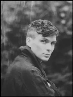 ◾ a1b95ad9 telegram sticker