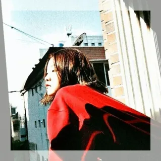 🍸 e87fbfe6 telegram sticker