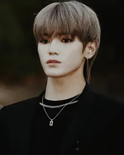 💸 d5fe3b24 osoba, portret, mężczyzna, koreański, srebrny naszyjnik, biżuteria telegram sticker