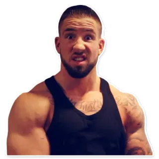 HRVSTR telegram stickers