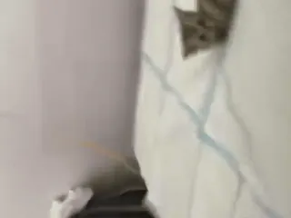 🌟 0e963647 telegram sticker