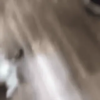 🌟 e32fe019 telegram sticker