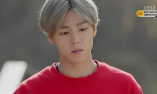 🍸 196ffc51 telegram sticker