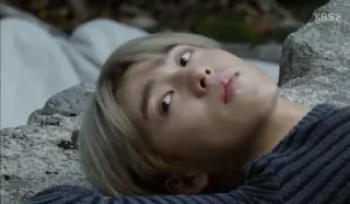 🍸 2cdc53fe telegram sticker