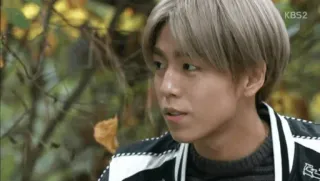 🍸 dc89609d telegram sticker