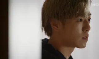 🌪 e8aa8595 telegram sticker