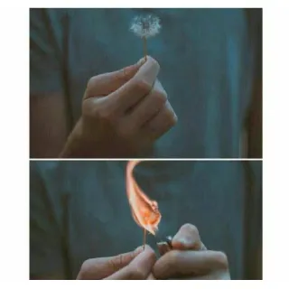 😂 40b5ff57 dandelion, fire, lighter, hand, nature, destruction, contrast telegram sticker